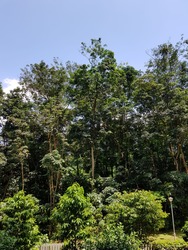 Eco Sanctuary (D23), Condominium #165441492
